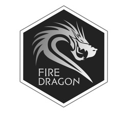 Заявка на торговельну марку № m202405795: fire dragon