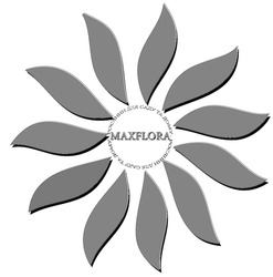 Заявка на торговельну марку № m202507749: рослини для саду та дому; maxflora