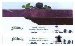 Заявка на торговельну марку № m201923954: паста liqberry чорниця формула життя