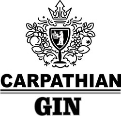 Свідоцтво торговельну марку № 309373 (заявка m202001495): carpathian gin