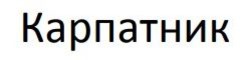 Заявка на торговельну марку № m202510072: карпатник