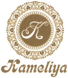 Свідоцтво торговельну марку № 183987 (заявка m201300937): к; kameliya