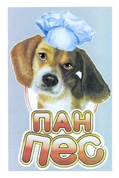Свідоцтво торговельну марку № 161881 (заявка m201110408): пан пес