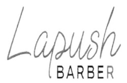 Заявка на торговельну марку № m202409964: lapush barber