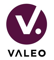 Свідоцтво торговельну марку № 319502 (заявка m202016190): v.; valeo