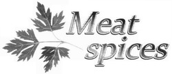 Свідоцтво торговельну марку № 199922 (заявка m201323373): meat spices