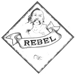 Заявка на торговельну марку № m202012395: rebel