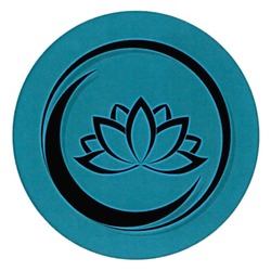 Заявка на торговельну марку № m202509503