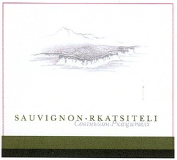 Свідоцтво торговельну марку № 162001 (заявка m201114607): sauvignon-rkatsiteli; совіньйон-ркацителі