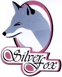 Свідоцтво торговельну марку № 50494 (заявка 2003055432): silver; fox