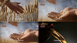 Заявка на торговельну марку № m202509597: живого бродіння; освіжаючий; традиційний; квас; опілля; opillia