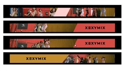 Заявка на торговельну марку № m201924783: xexymix; х