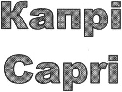 Свідоцтво торговельну марку № 203067 (заявка m201408593): капрі; capri