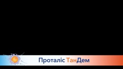 Заявка на торговельну марку № m202420116: проталіс тандем; тан дем