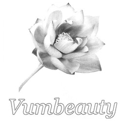 Свідоцтво торговельну марку № 277160 (заявка m201806562): vumbeauty