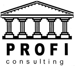 Заявка на торговельну марку № m201110920: profi consulting