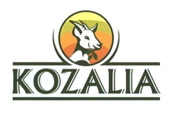 Свідоцтво торговельну марку № 236211 (заявка m201717743): kozalia