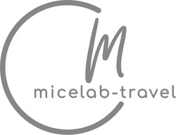 Заявка на торговельну марку № m202508171: см; cm; micelab travel; micelab-travel