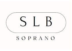 Заявка на торговельну марку № m202413587: soprano; slb