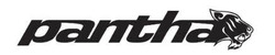 Заявка на торговельну марку № m202604085: pantha