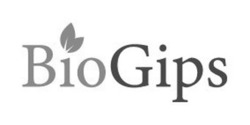 Свідоцтво торговельну марку № 338700 (заявка m202126291): biogips; bio gips