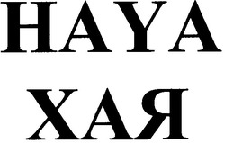 Свідоцтво торговельну марку № 100211 (заявка m200610543): haya; хая