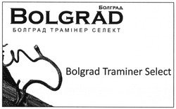 Свідоцтво торговельну марку № 184018 (заявка m201301932): bolgrad traminer select; болград трамінер селект
