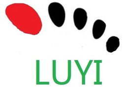 Свідоцтво торговельну марку № 209885 (заявка m201411838): luyi