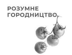 Заявка на торговельну марку № m202609030