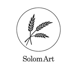 Заявка на торговельну марку № m202517712: solom art