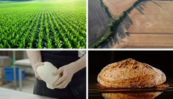 Заявка на торговельну марку № m202418983