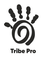 Заявка на торговельну марку № m202302560: tribe pro