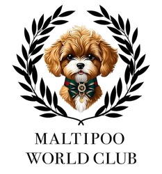 Заявка на торговельну марку № m202315746: maltipoo world club