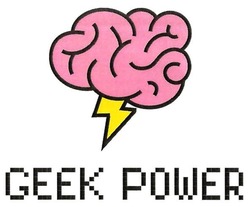 Свідоцтво торговельну марку № 282061 (заявка m201818153): geek power