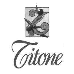 Свідоцтво торговельну марку № 188158 (заявка m201309893): titone
