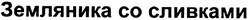 Заявка на торговельну марку № 2004021178: земляника со сливками