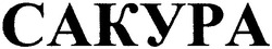 Свідоцтво торговельну марку № 66688 (заявка 20041011602): cakypa; сакура