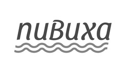 Свідоцтво торговельну марку № 324493 (заявка m202021211): пивиха