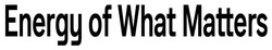 Заявка на торговельну марку № m202524467: energy of what matters