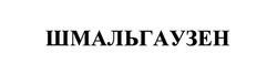 Заявка на торговельну марку № m202608714: шмальгаузен