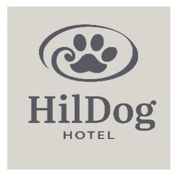 Заявка на торговельну марку № m202604666