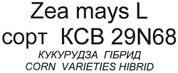Свідоцтво торговельну марку № 132104 (заявка m200909412): zea mays l; corn varieties hibrid; сорт ксв 29n68; kcb 29n68; кукурудза гібрид; corn varieties hibrid; copt