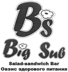Свідоцтво торговельну марку № 218965 (заявка m201415242): bs; big sub; salad-sandwich bar; оазис здорового питания