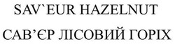 Заявка на торговельну марку № m202117828: sav'eur hazelnut; saveur; сав'єр лісовий горіх; савєр