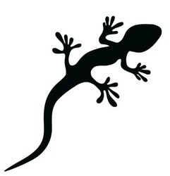 Свідоцтво торговельну марку № 370479 (заявка m202021799)