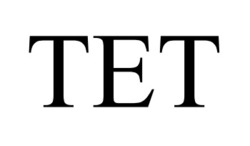 Заявка на торговельну марку № m202600025: tet; тет