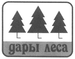 Свідоцтво торговельну марку № 116117 (заявка m200807625): дары леса