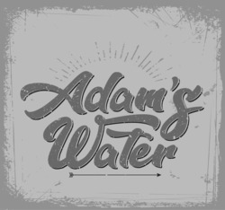 Свідоцтво торговельну марку № 342824 (заявка m202125829): adam's water; adams water
