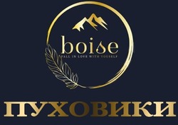 Заявка на торговельну марку № m202514956: пуховики; boise fall in love with youself
