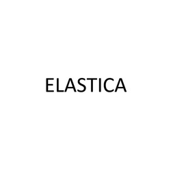 Заявка на торговельну марку № m202422264: elastica